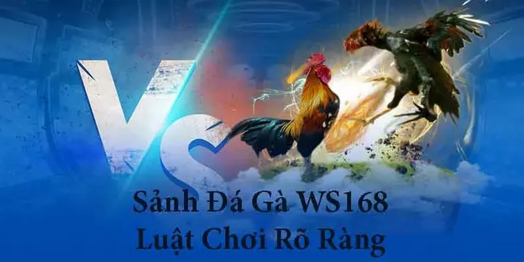 Hướng Dẫn Cách Chơi Đá Gà WS168 Tại Kubet Hiệu Quả Nhất
