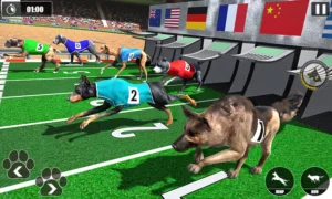 Cách Chơi Game Nhanh Đua Chó Tại Kubet Thắng Lớn