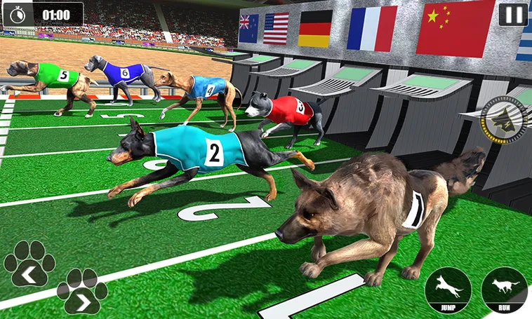 Cách Chơi Game Nhanh Đua Chó Tại Kubet Thắng Lớn