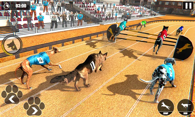 Cách Chơi Game Nhanh Đua Chó Tại Kubet Thắng Lớn