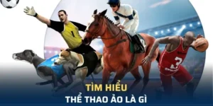 Tìm Hiểu Cá Cược Thể Thao Ảo Kubet Để Tối Ưu Hóa Lợi Nhuận